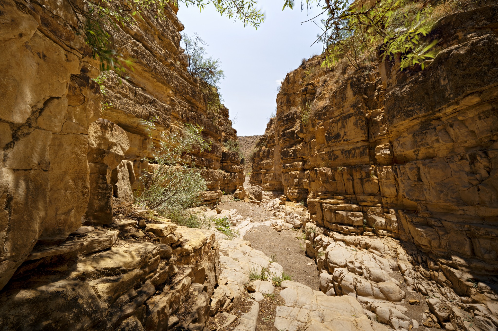 Angel's Canyon (9)