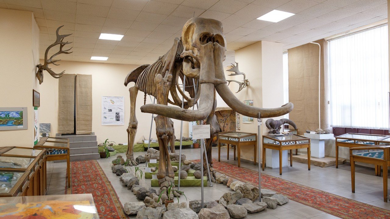 Geological Museum after H. Karapetyan